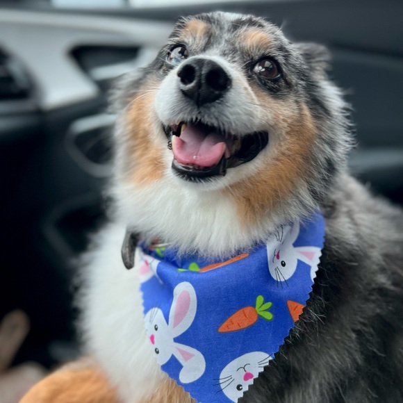 Meet your Posher, K - Picture 2 of 3